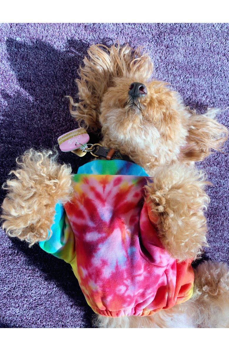 LoveThyBeast Rainbow Tie-Dye Dog Tee, Alternate, color,