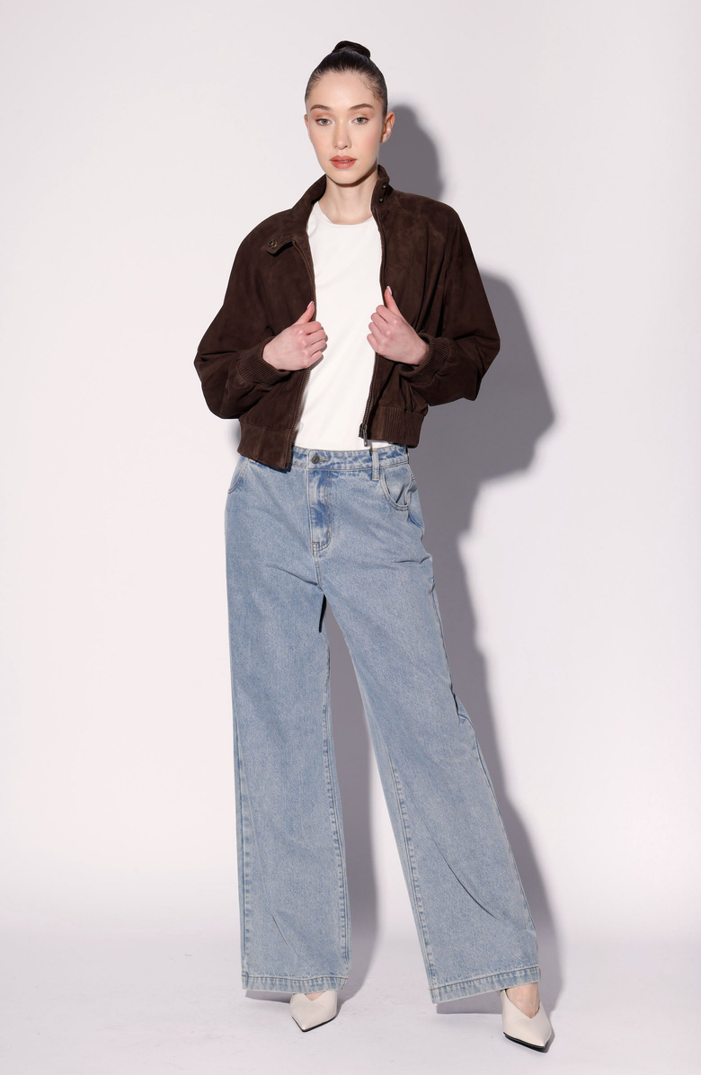 Walter Baker Bowie Suede Bomber Jacket, Alternate, color, Mocha Suede