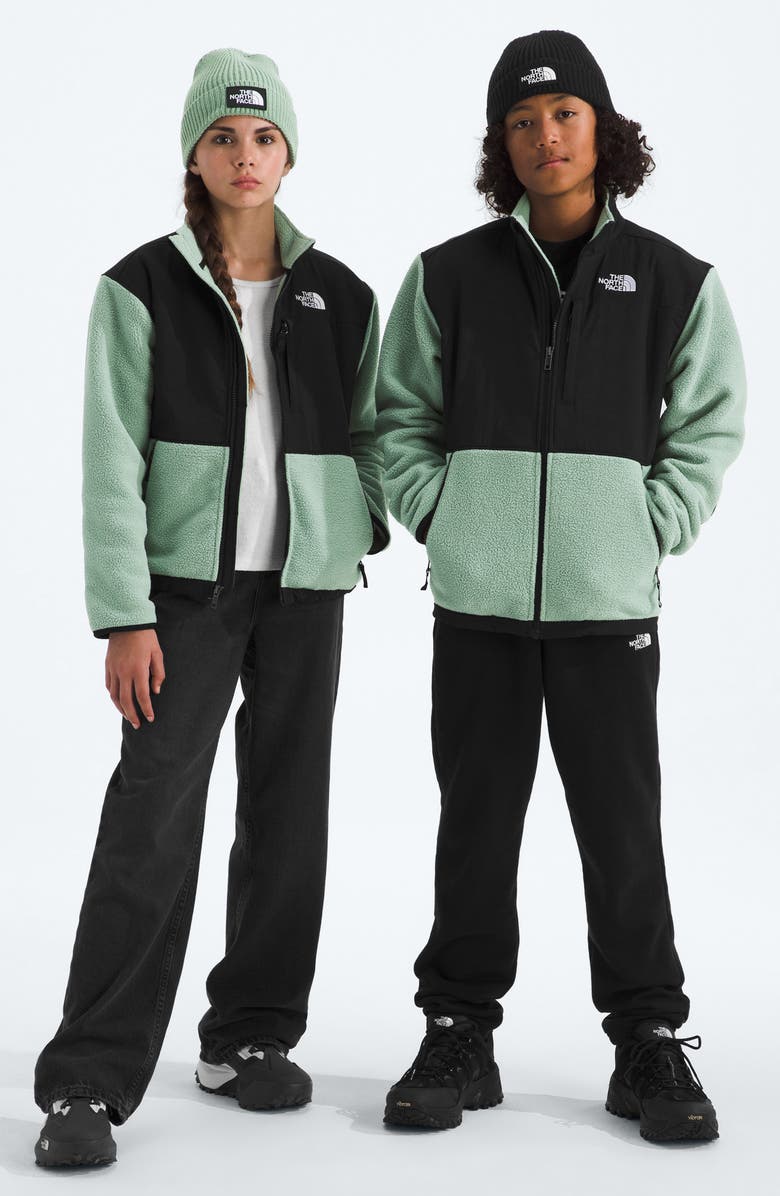 The North Face Kids' Denali Water Repellent Fleece Jacket, Alternate, color, Slate Moss