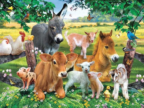 On the Farmland 300 piece Jigsaw Puzzle for Adults