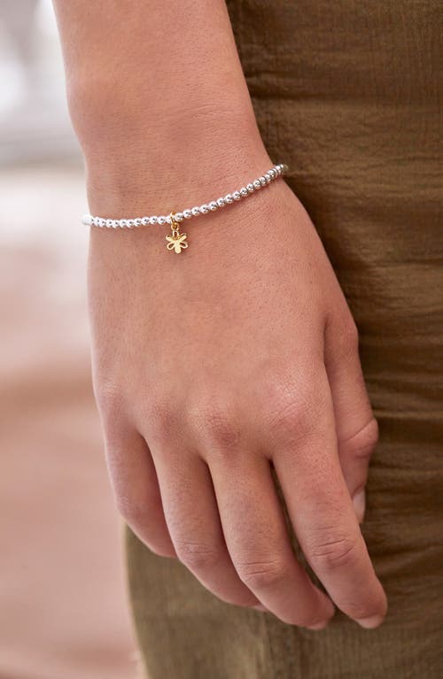 Estella Bartlett Sienna Flower Beaded Stretch Bracelet In Gold