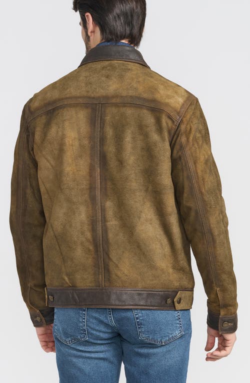 Flynt Distressed Leather Jacket In Toffee