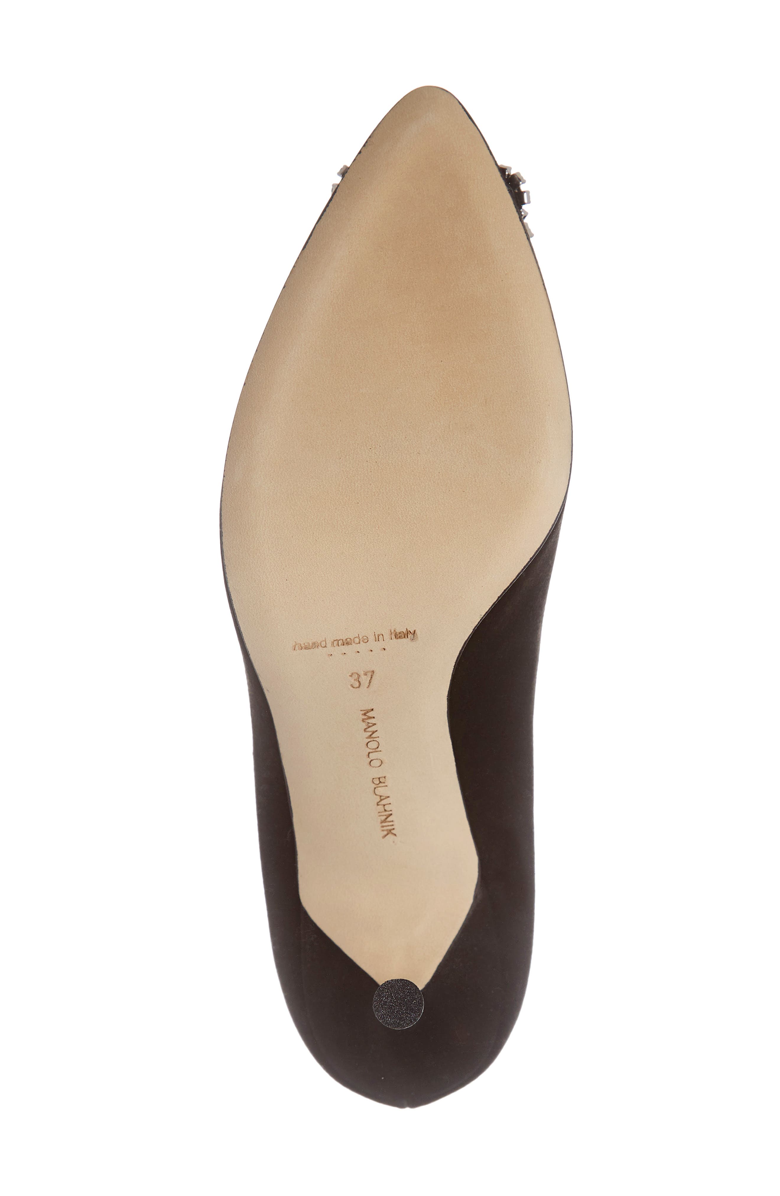 Manolo Blahnik Hangisi Pointed Toe Pump, Alternate, color, 