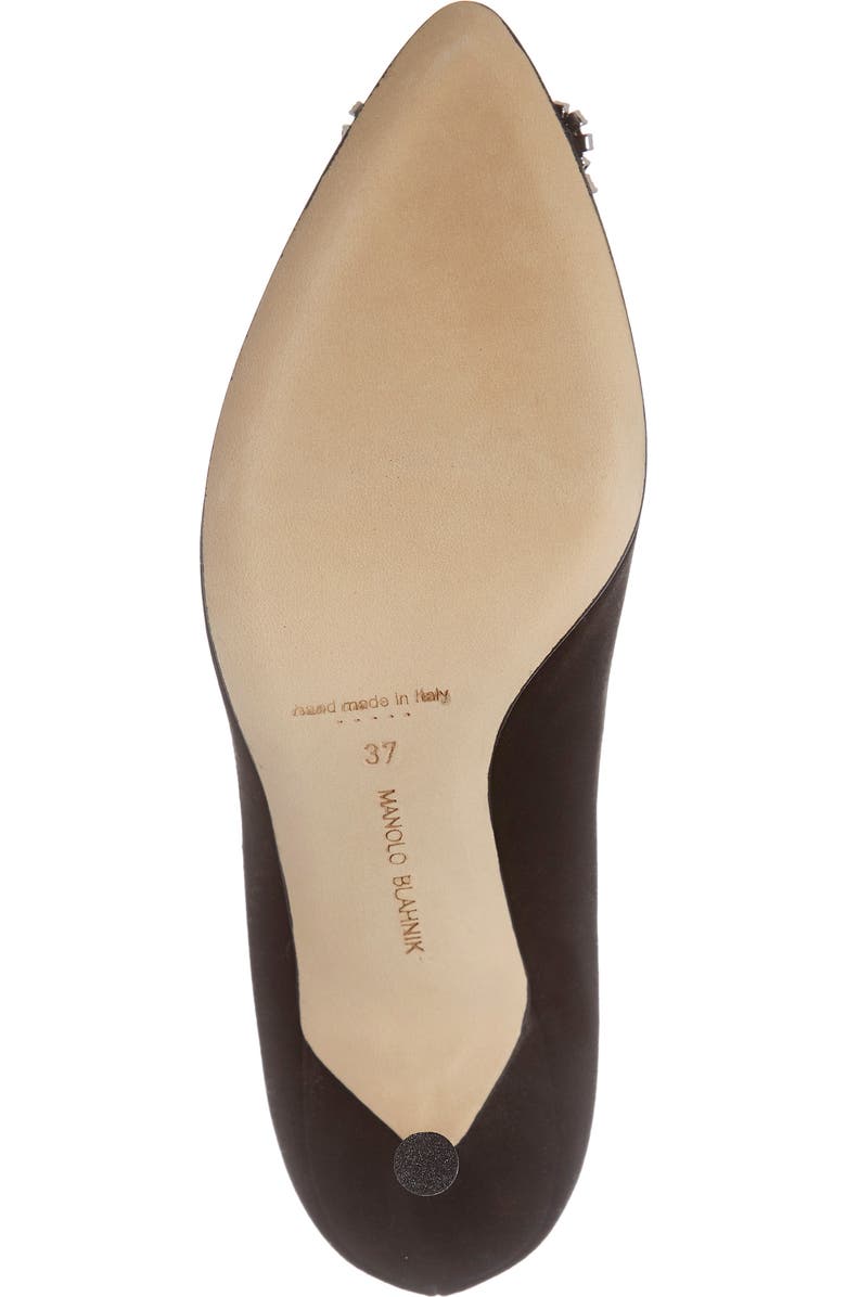 Manolo Blahnik Hangisi Pointed Toe Pump, Alternate, color,
