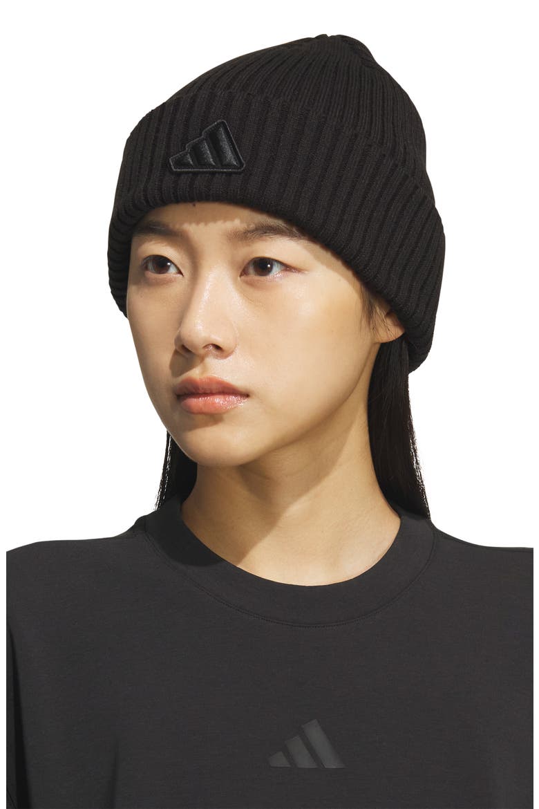 Altitude Folded Cuff Beanie, Alternate, color, BLACK