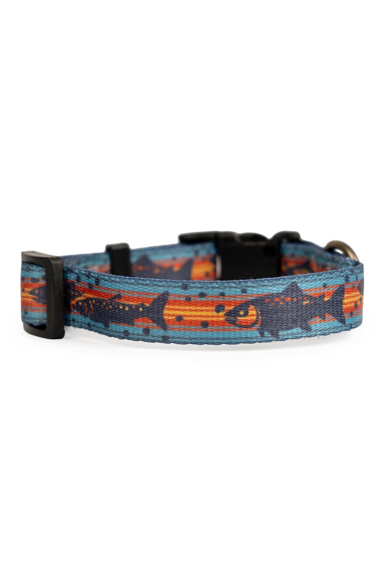 Adventure Dog Collar, Alternate, color, SALMON FALLS