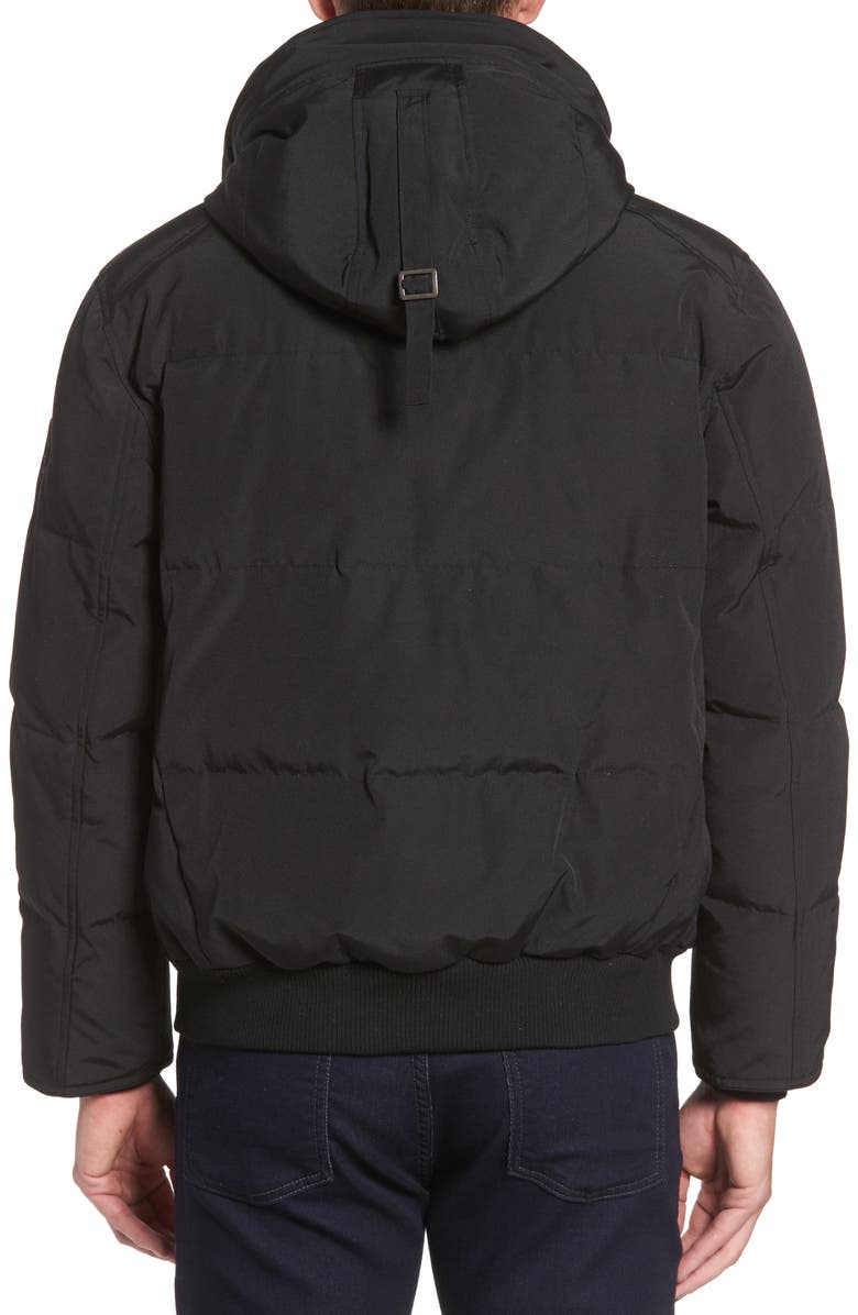 Cole Haan Hooded Down & Feather Fill Bomber Jacket, Alternate, color,