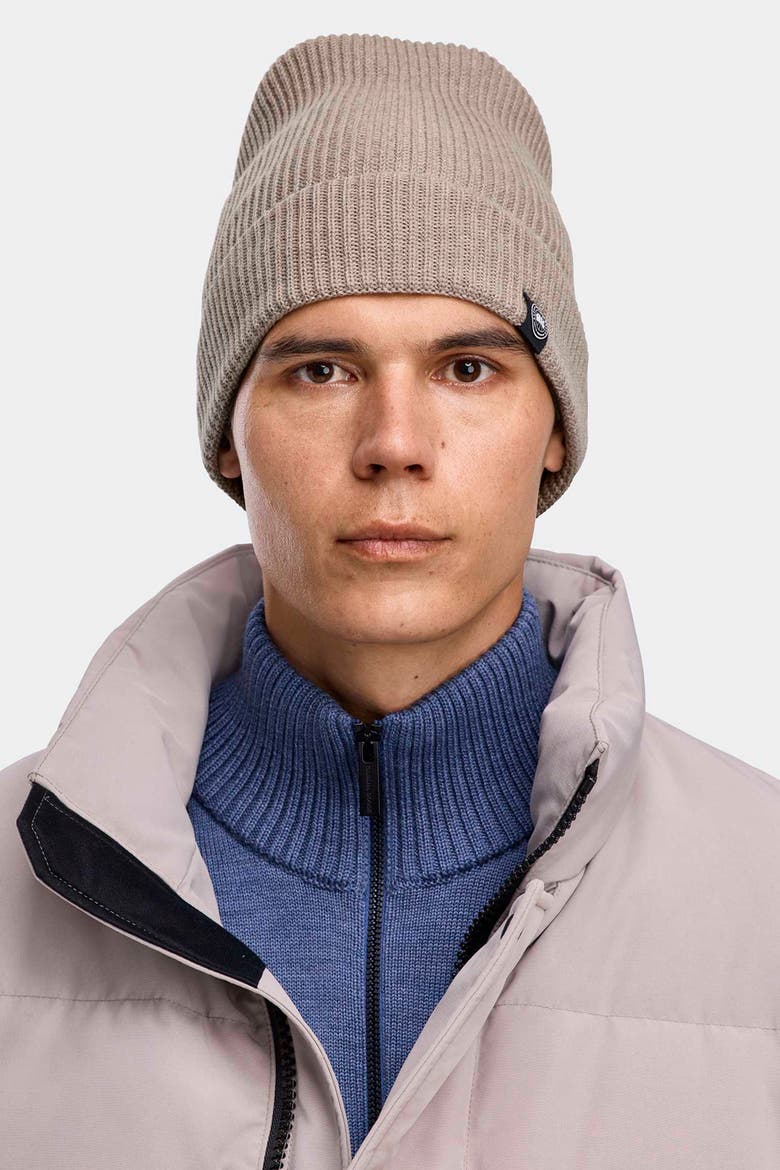 Cotton Rib Beanie, Alternate, color, Limestone