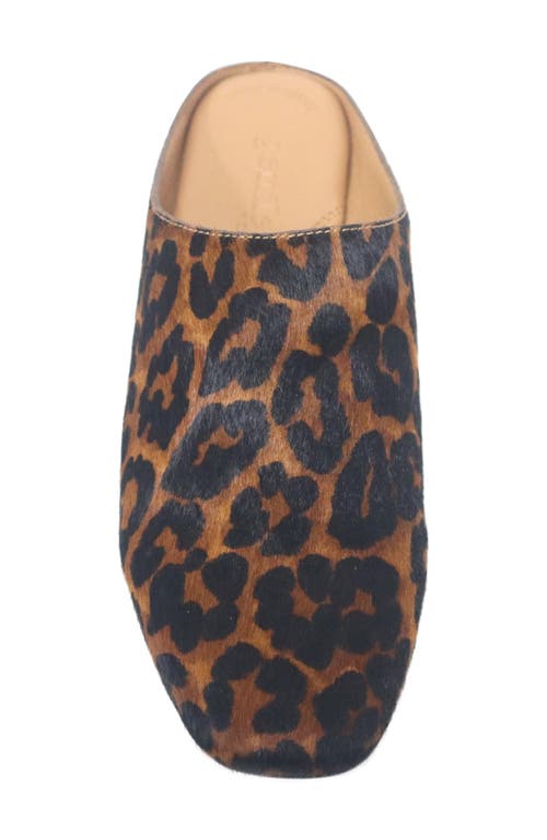 Gentle Souls Wanda Genuine Calf Hair Mule In Animal Print