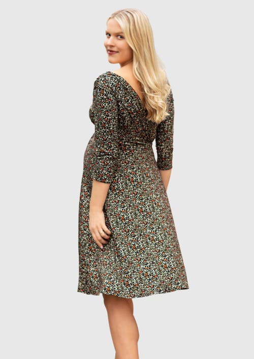 Tiffany Rose Maternity Willow Maternity Dress In Multi