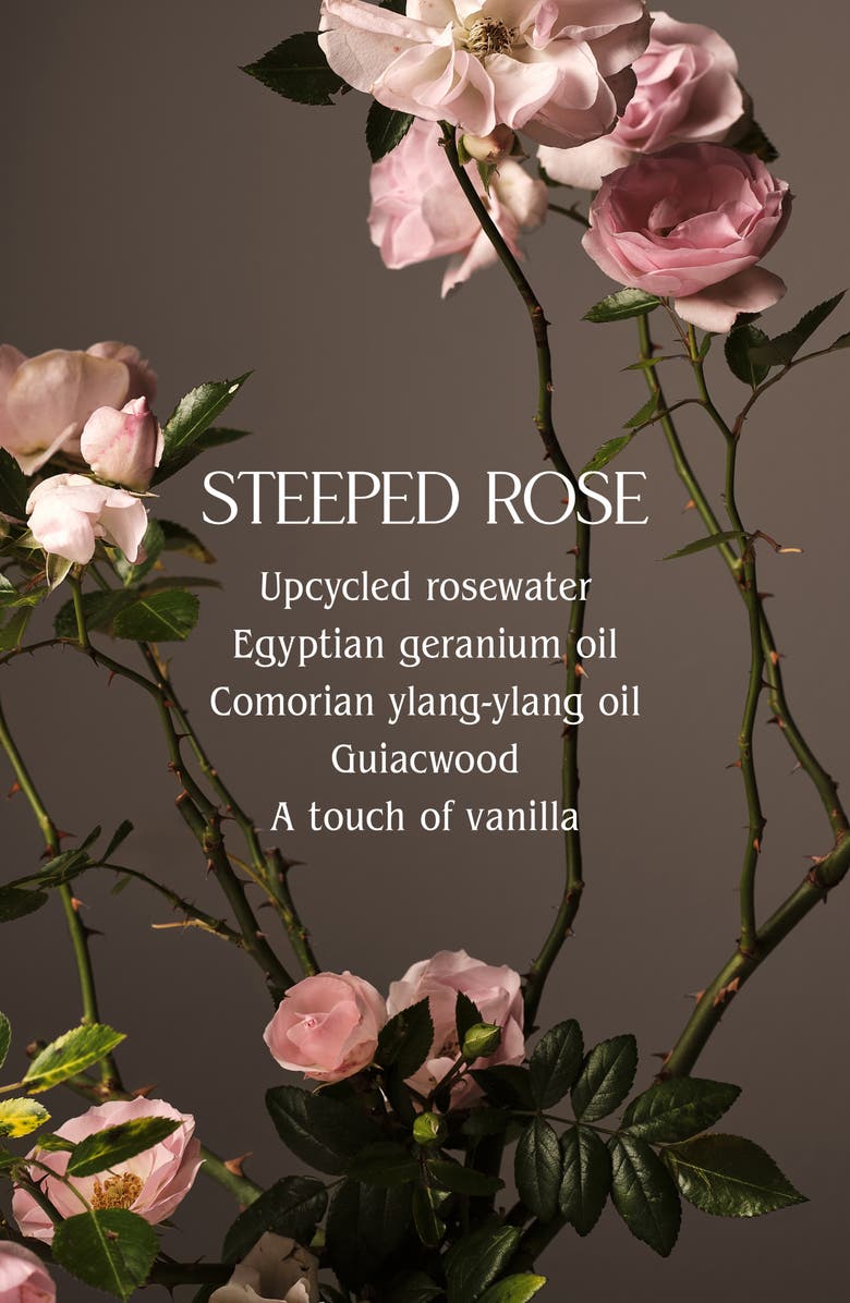 Homecourt Steeped Rose Dish Soap, Alternate, color, Dark Green