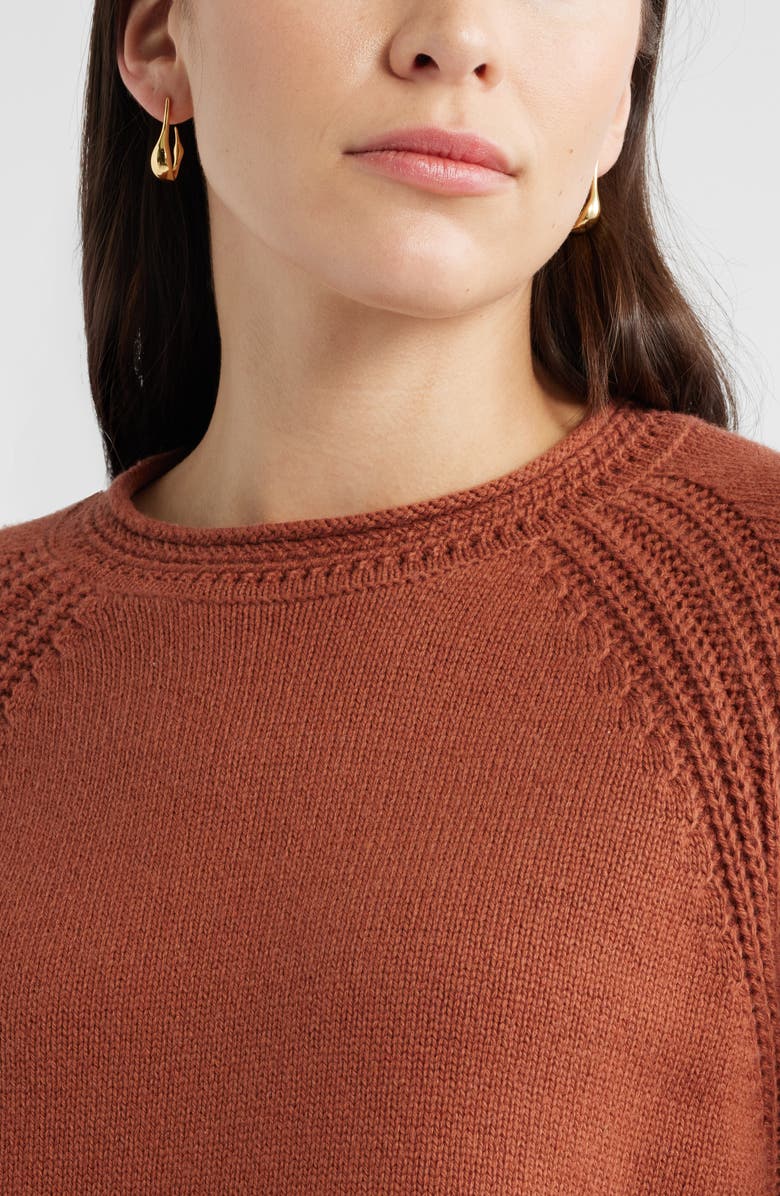 Caslon<sup>®</sup> Raglan Sleeve Roll Neck Wool & Cotton Sweater, Alternate, color, Rust Sequoia