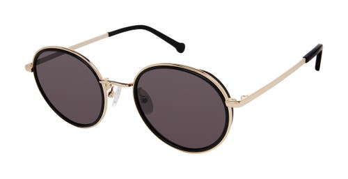 Colors In Optics Lenny Sunglasses In Black/gold