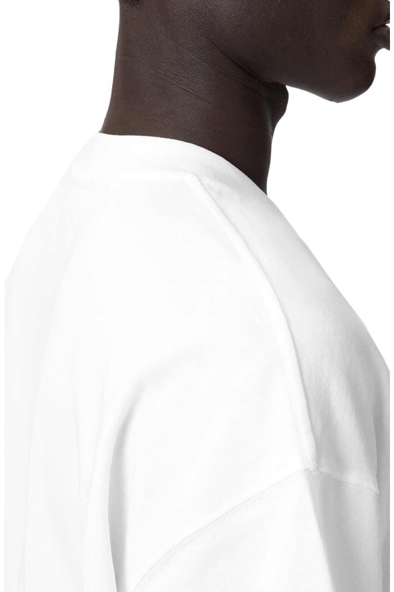 Haven T-Shirt, Alternate, color, ASHEN WHITE