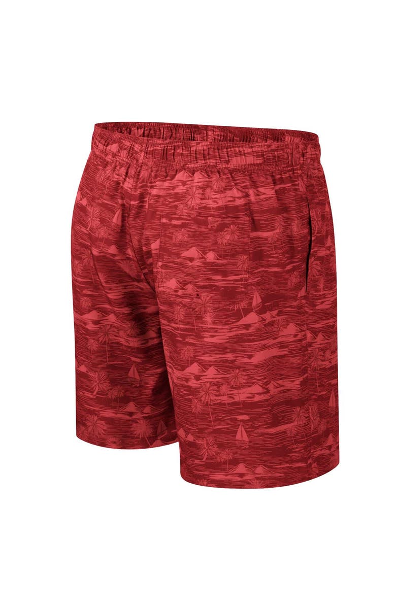 COLOSSEUM Men's Colosseum Cardinal Arkansas Razorbacks Ozark Swim Shorts, Alternate, color, Cardinal