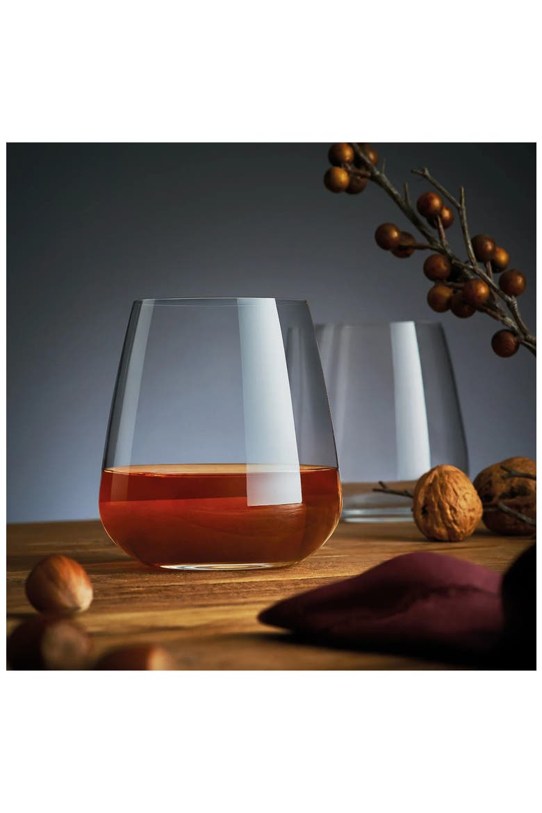 Talismano 15.25 oz. On The Rocks Tumbler Glasses, Set of 4, Alternate, color, CLEAR