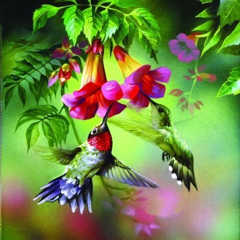 Summer Hummer 1000 piece Jigsaw Puzzle for Adults