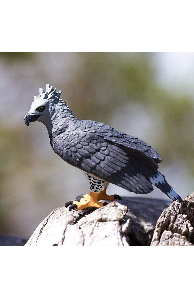 Safari Ltd. Harpy Eagle Kids Toy Figure, Alternate, color, NO COLOR