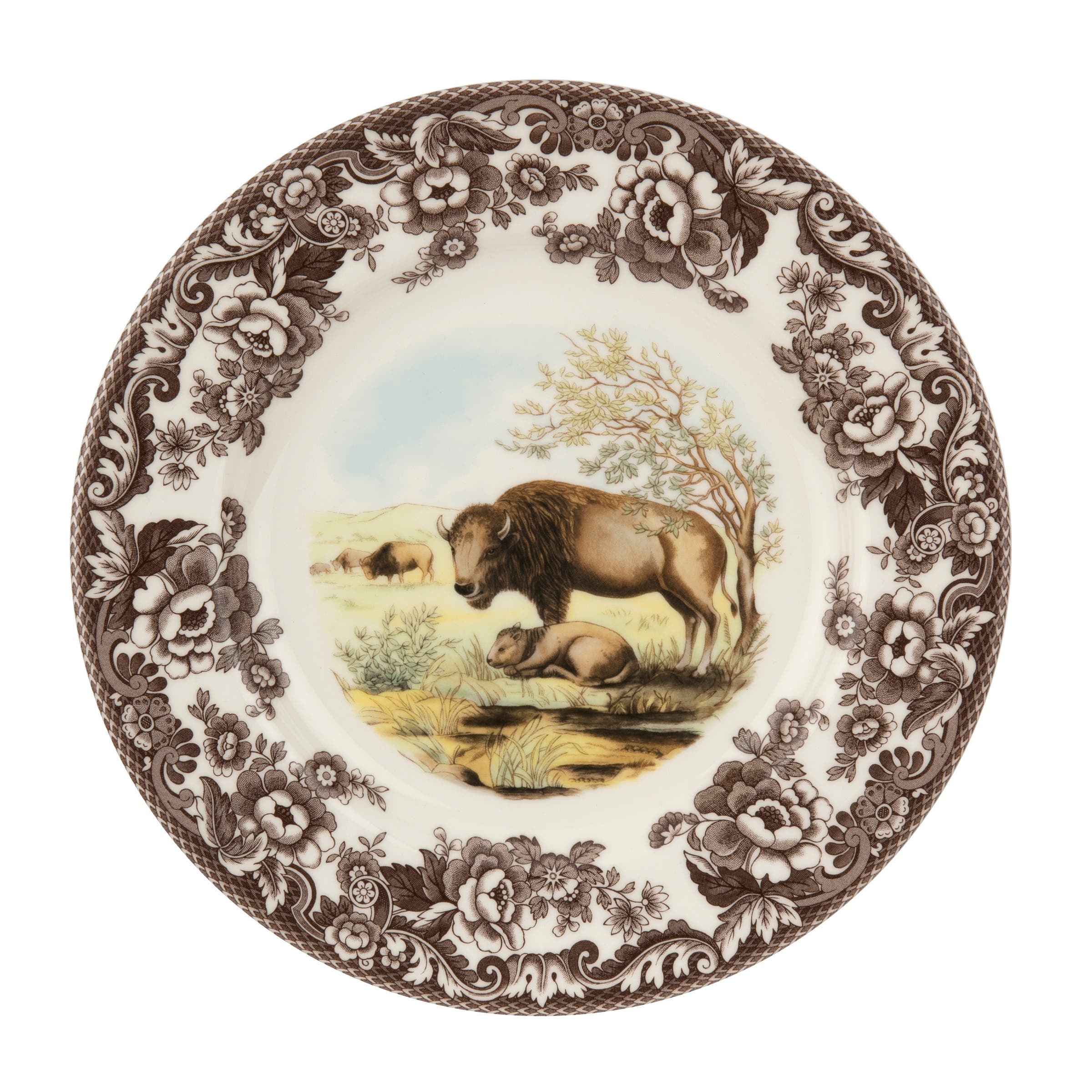 Bison