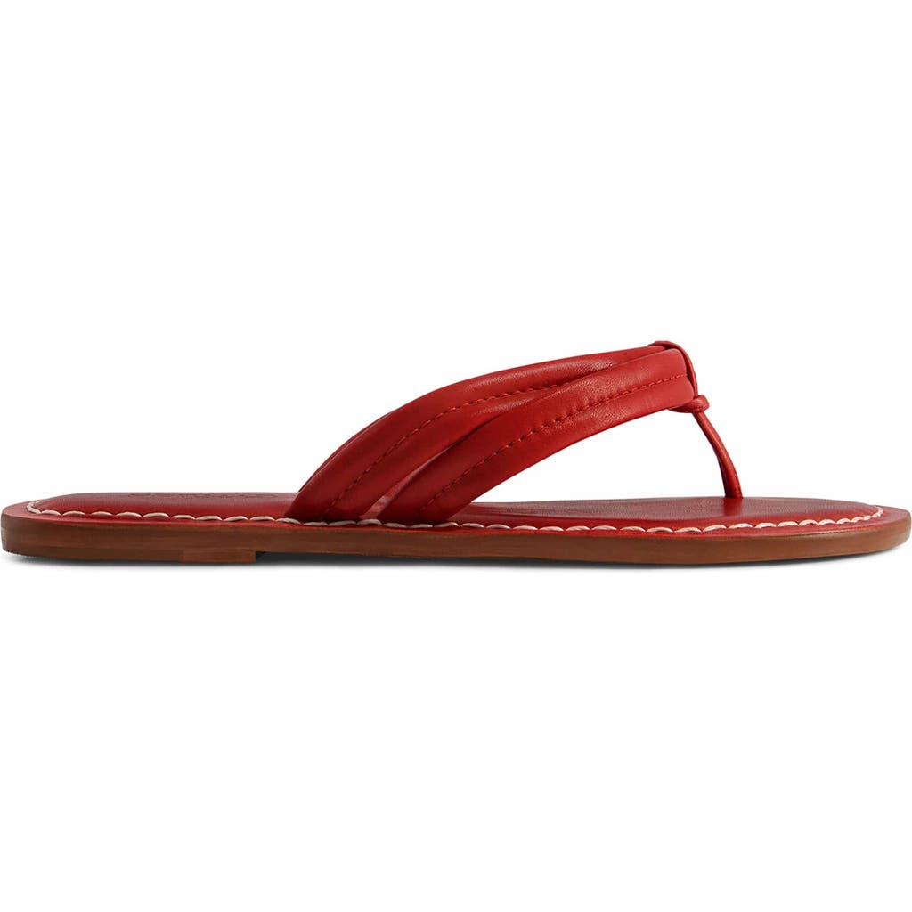 BERNARDO FOOTWEAR BERNARDO FOOTWEAR MIAMI THONG SANDAL