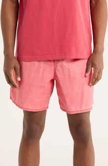 Obey Easy Pigment Nylon Shorts