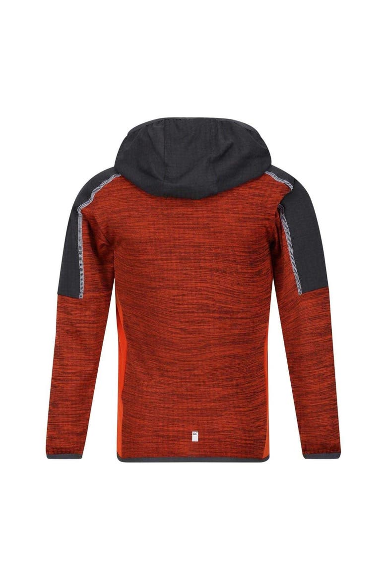 Childrens/Kids Burnton Raglan Hoodie, Alternate, color, Blazing Orange  Rusty