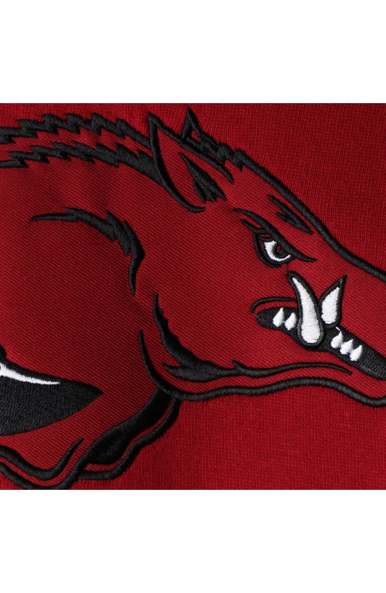 COLOSSEUM Youth Cardinal Arkansas Razorbacks Big Logo Pullover Hoodie, Alternate, color, Cardinal
