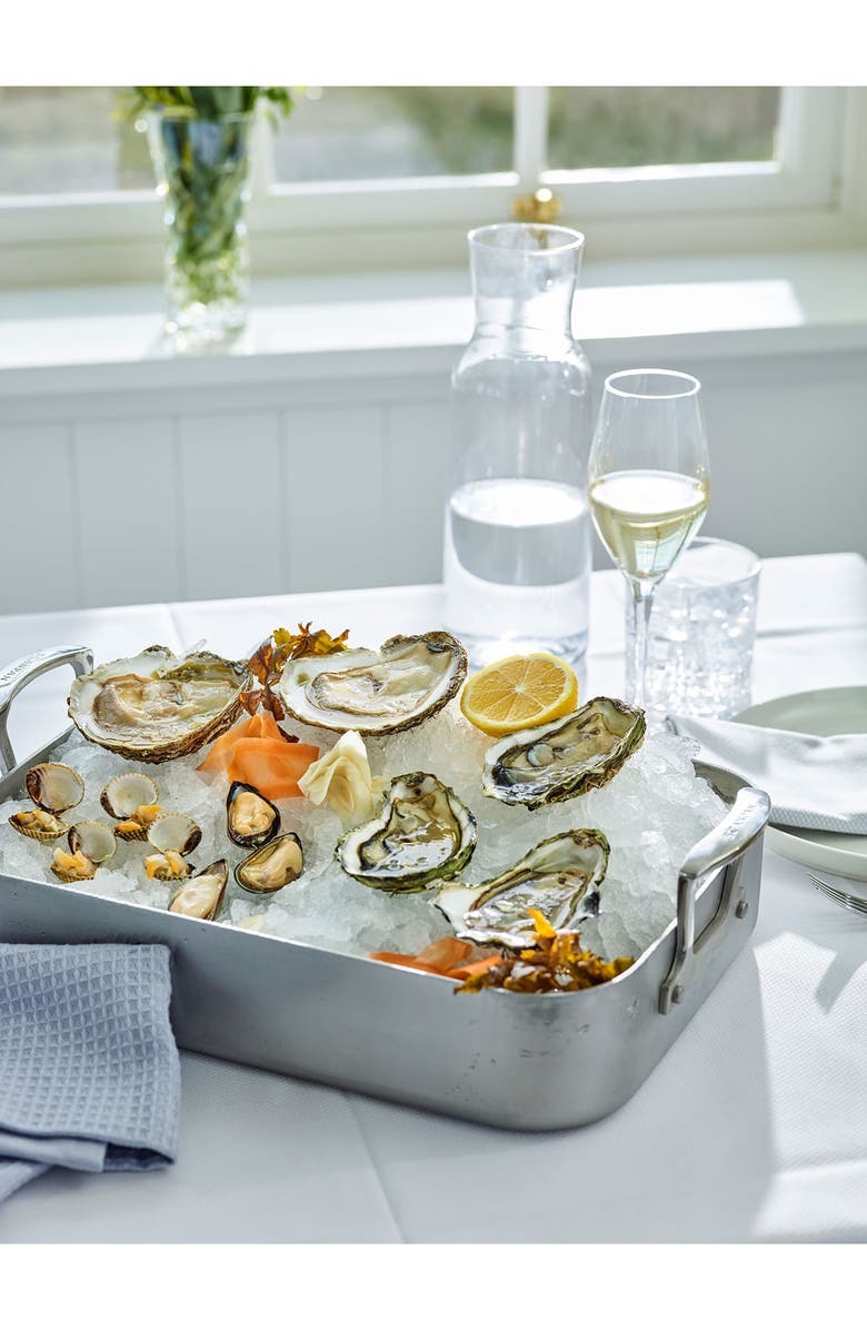 Scanpan Fusion 5 Roaster Pan, Alternate, color, Silver