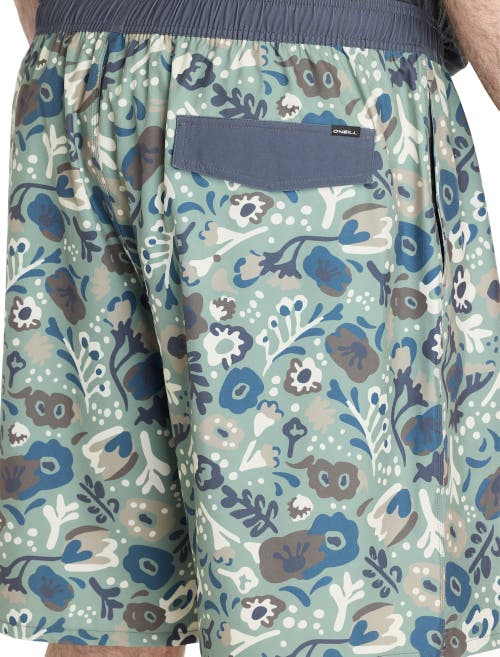 O'neill Big & Tall Hermosa Board Shorts In Sage