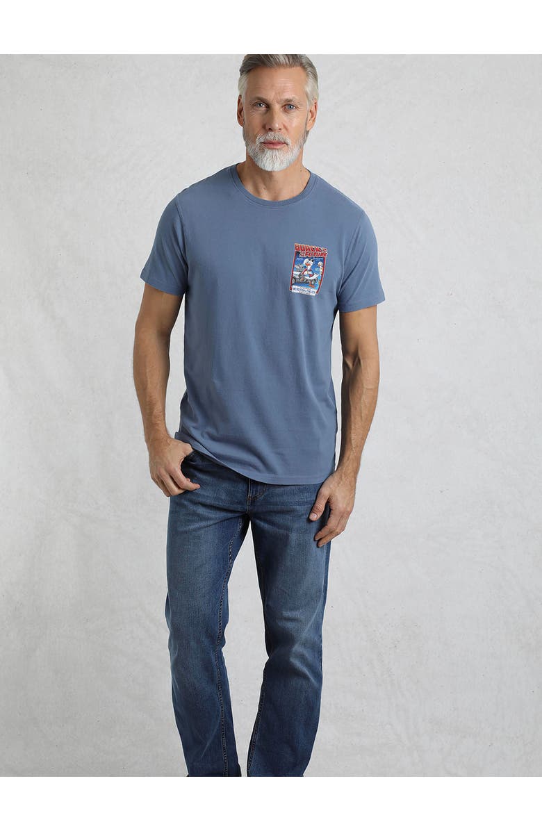 Weird Fish Quack To The Future RSPB Artist T-Shirt, Alternate, color, Mid Blue