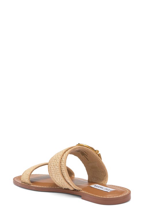 Steve Madden Sivan Slide Sandal