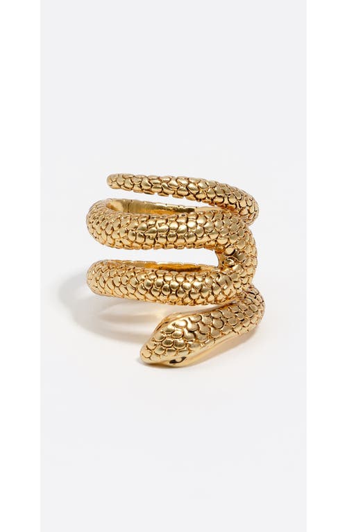 Bimba Y Lola Textured Snake Spiral Ring In Gold