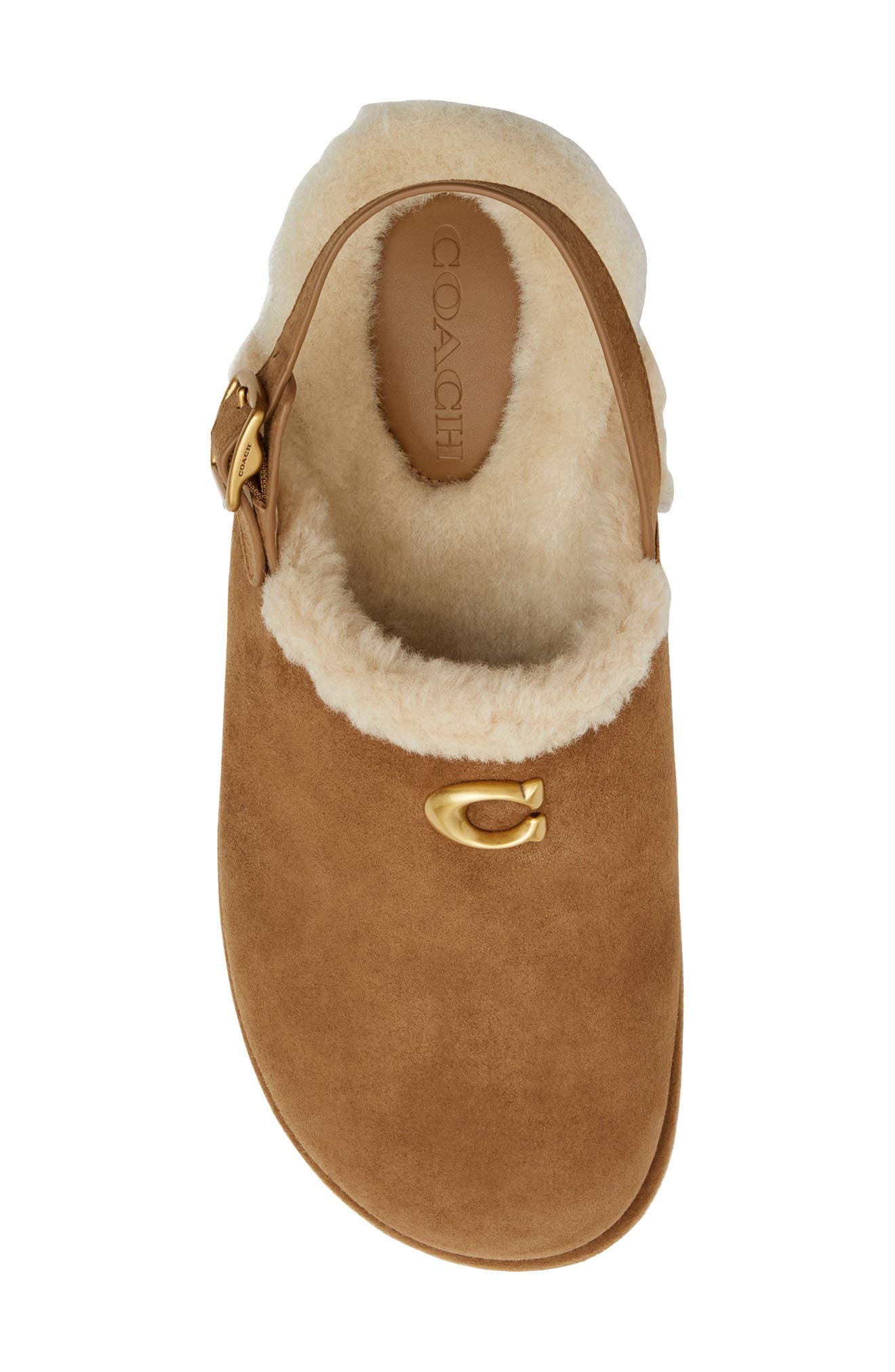 COACH Sculpted C Genuine Shearling Lined Slingback Platform Clog, Alternate, color, Coconut/ Natural