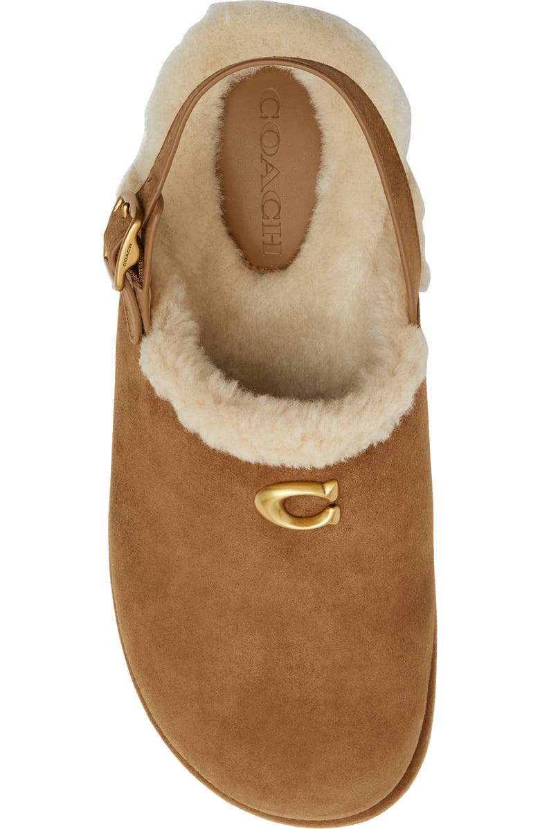 COACH Sculpted C Genuine Shearling Lined Slingback Platform Clog, Alternate, color, Coconut/ Natural