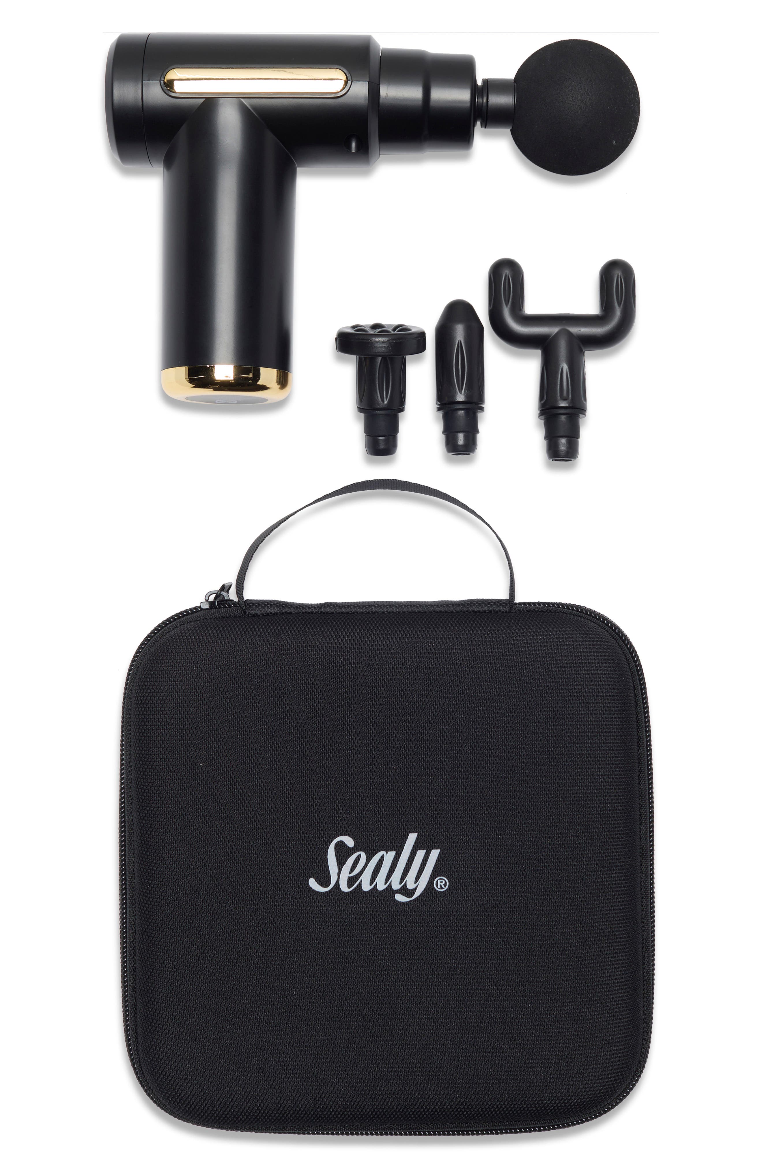 Mini Massager with Case