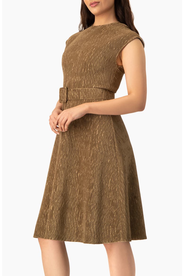 Textured Belted A-Line Dress, Cap Sleeve Fit-and-Flare with Buckle Belt, Alternate, color, Gold