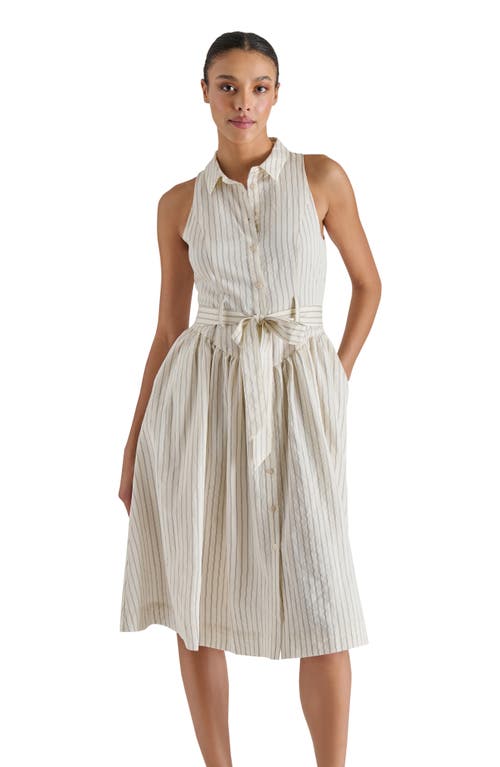 Steve Madden Mary Pinstripe Sleeveless Shirtdress In Neutral