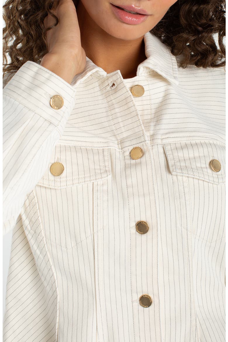 Stripe Fit & Flare Denim Trucker Jacket, Alternate, color, NAUTICAL STRIPE