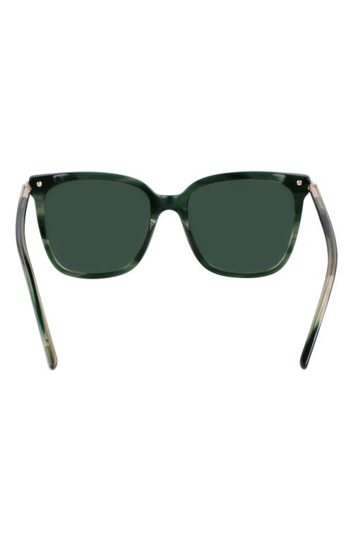 Ferragamo Prisma 56mm Modified Butterfly Sunglasses In Striped Green