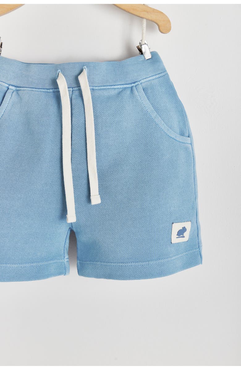 Babycottons Premium Cotton Essentials Bermuda for Toddler, Alternate, color, Light Blue