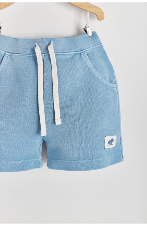 Babycottons Essentials Bermuda In Blue