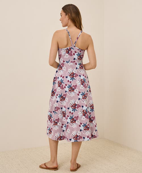 Pact Organic Cotton Fit & Flare Midi Dress