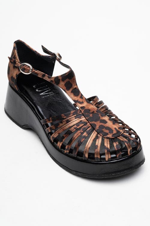 Prologue Shoes Aniel Platform Wedge Sandal In Animal Print