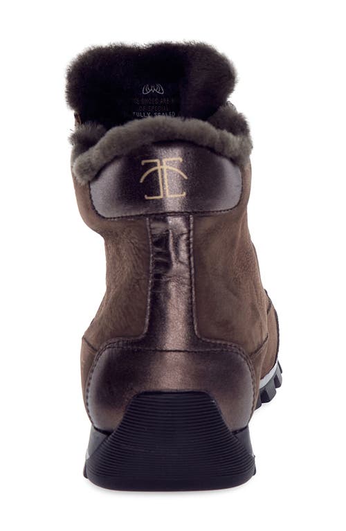 Candice Cooper Runlo Waterproof Genuine Shearling Lined High Top Sneaker In Multi