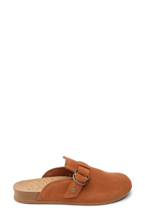 Reef Vista Serenity Clog