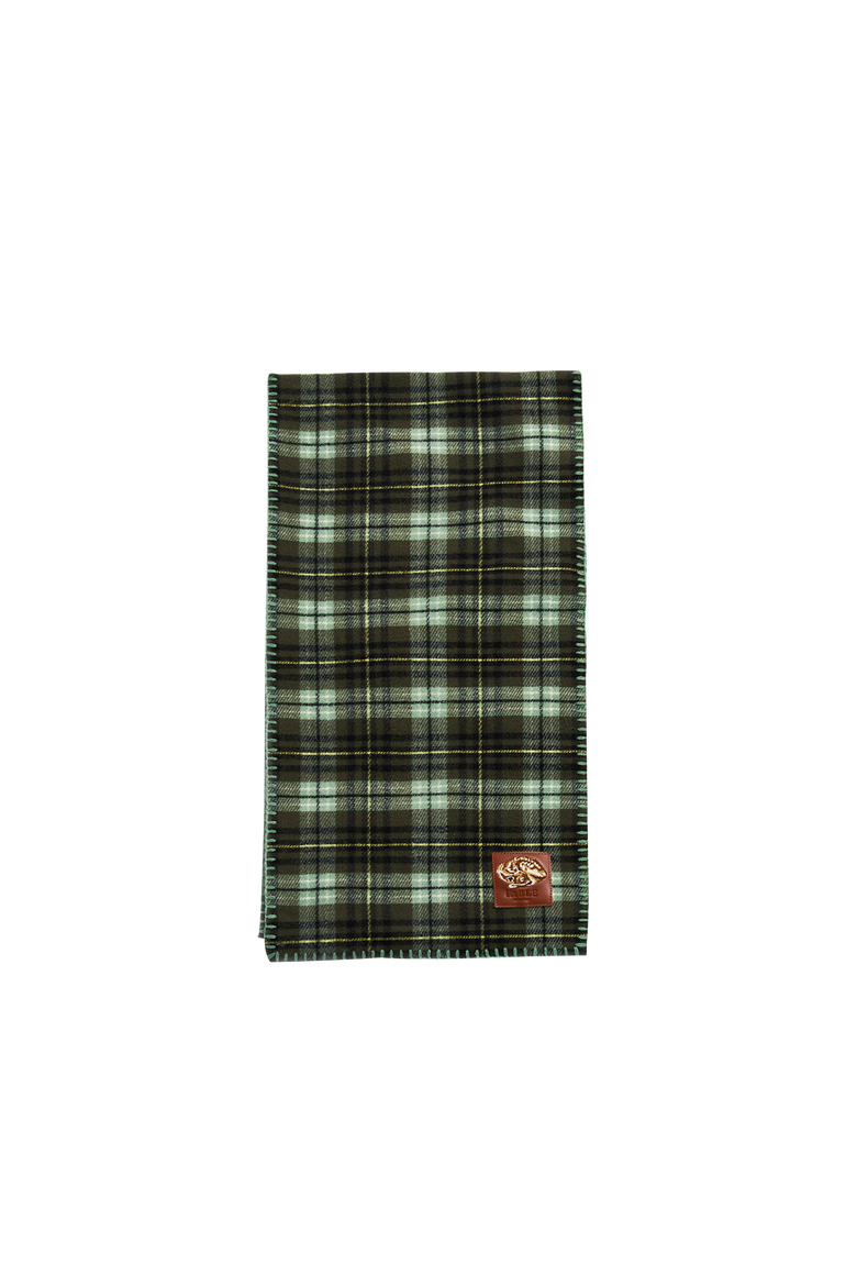 Green Check Hooded Scarf, Alternate, color, Emerald Green