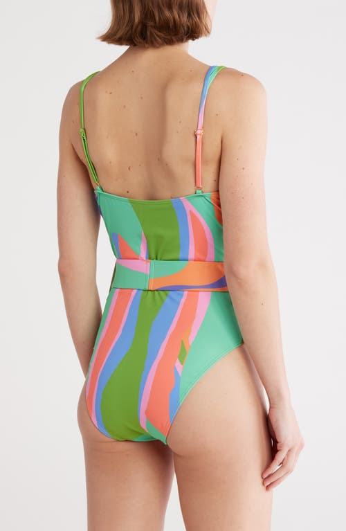 Hutch Underwire Belted One-piece Swimsuit In Multi