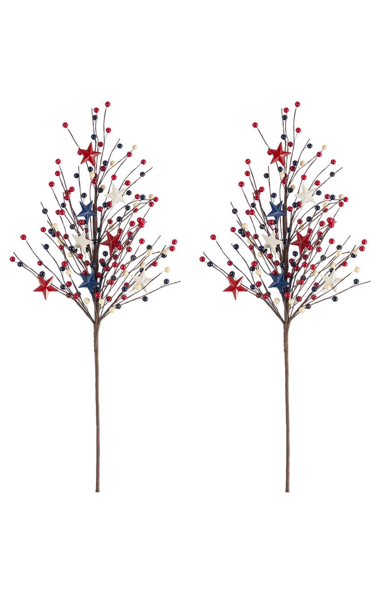 Glitzhome Set of 2 28"H Patriotic Americana Stars & Berry Picks, Main, color, Blue