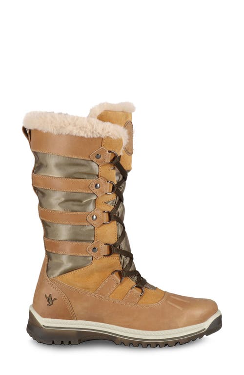 Santana Canada Marlyna Waterproof Winter Boot In Multi