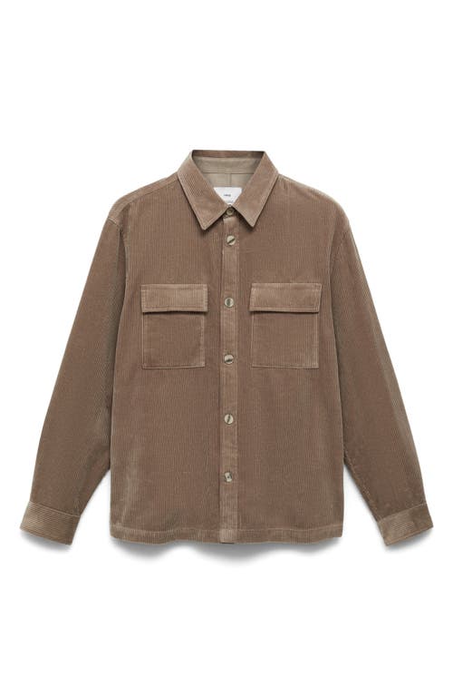 Mango Regular Fit Corduroy Overshirt In Mink Grey
